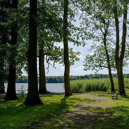 Park Vista *